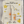 Load image into Gallery viewer, Algae Cooking Club