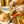 Load image into Gallery viewer, Scout Mustard Dipping Sauce &amp; Spread: 8 oz
