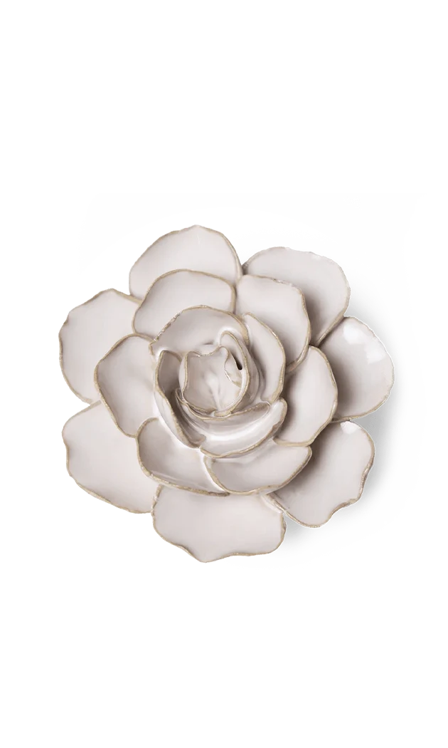 Ivory Amandine Ranunculus