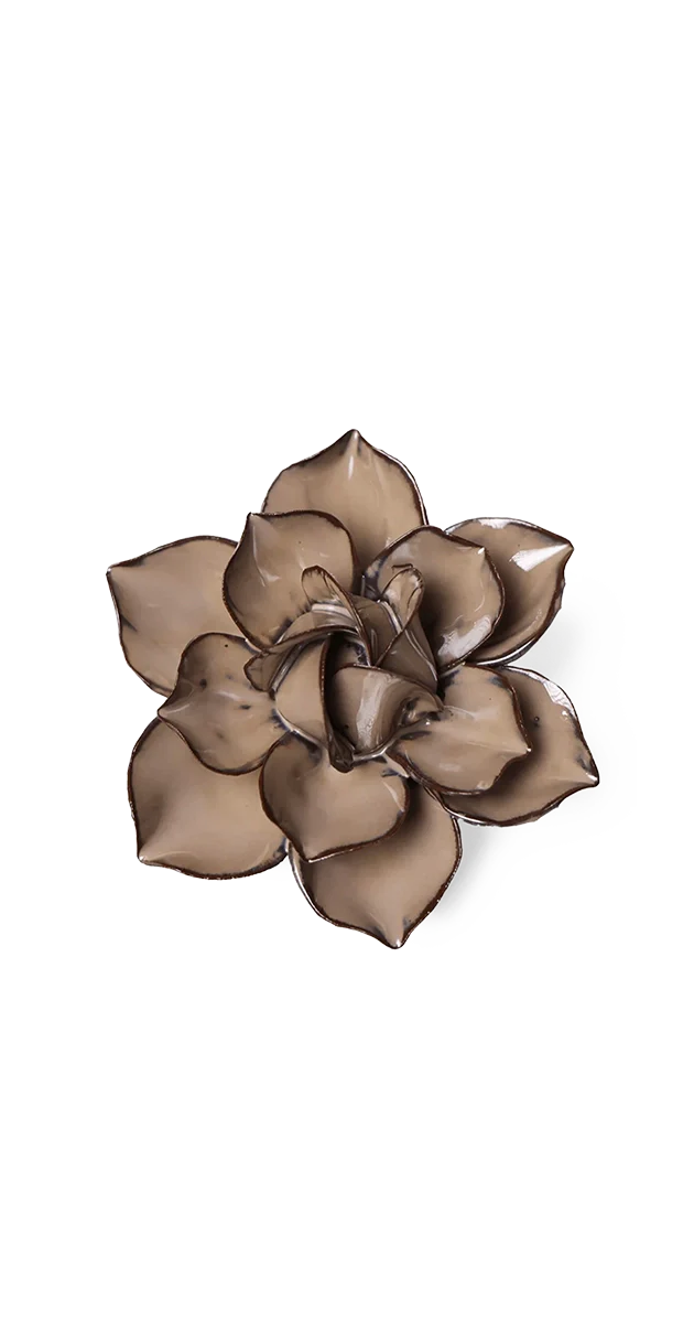 Latte Daffodil