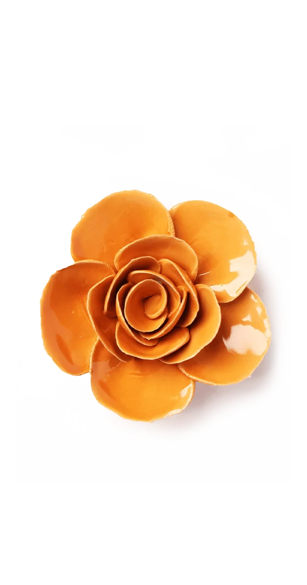 Orange Elegance Ranunculus