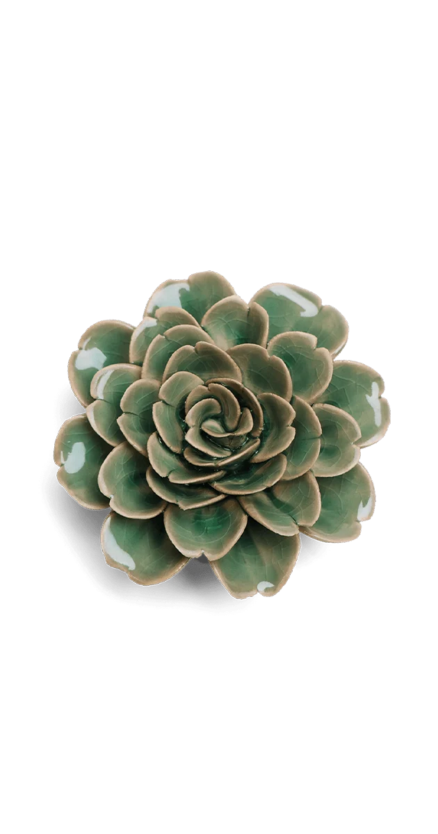 Jungle Green Tea Rose