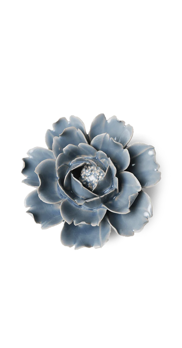 Pastel Blue Rose