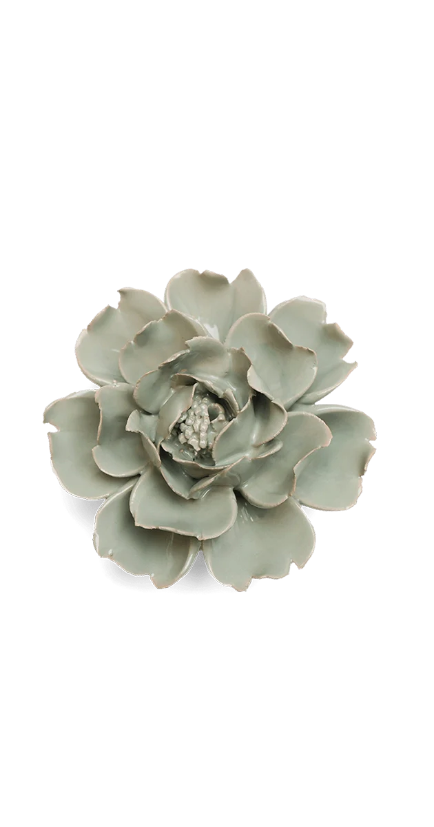 Pistachio Green Rose