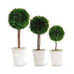 Preserved Boxwood Ball Topiaries in White Large