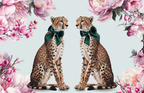 11x17 MAHJONG MADNESS VOL 2 insert set of 10