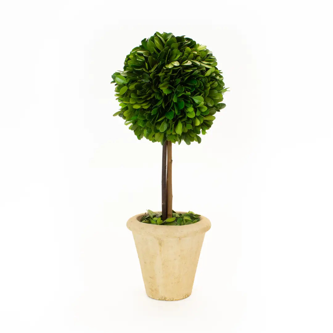 16 inch single topiary