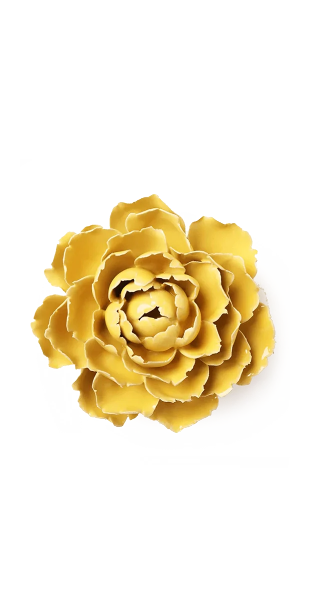 Buttercup Yellow Gay Paree Peony