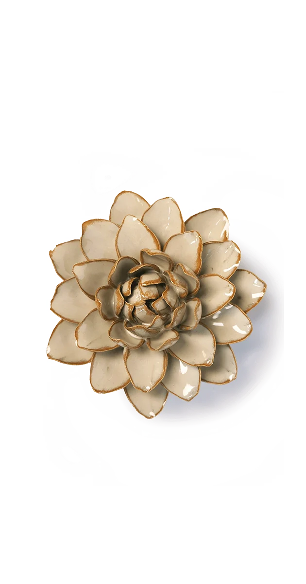 Oatmeal Starbrite Water Lily