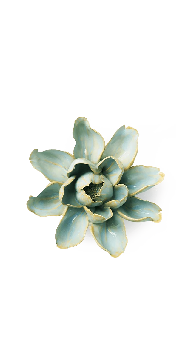 Robin's Egg Blue Aurora Water Lily