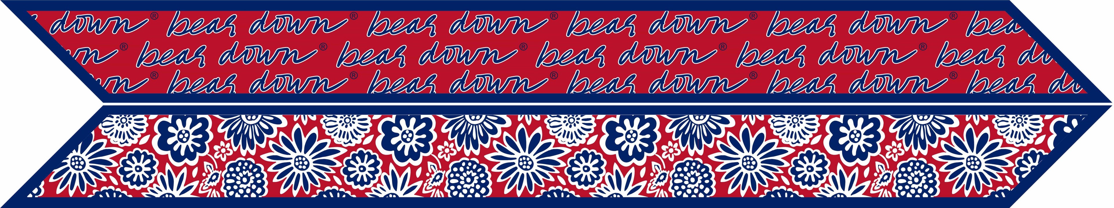 Skinny Scarf – Arizona Wildcats