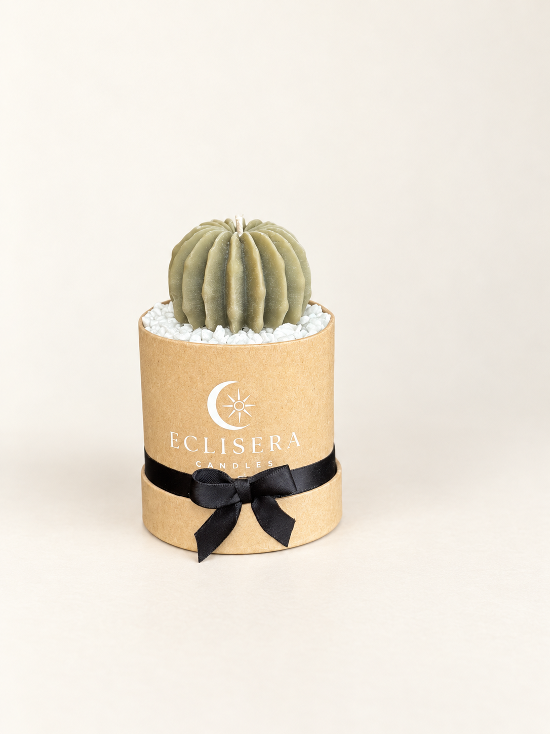 Eclisera Small Succulent Candle
