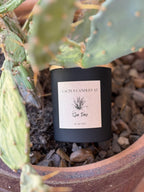 Cactus Candles AZ Cali 10oz candle