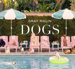 Gray Malin: Dogs