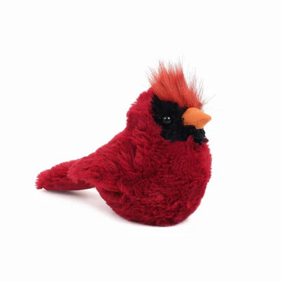 mon ami Crimson Cardinal