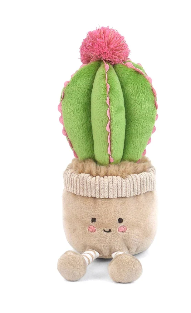 Cactus Cutie