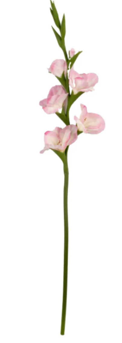 34 Inch Pink Real Touch Gladiolus