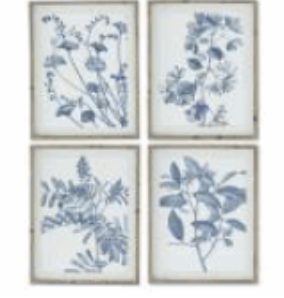 Assorted 27.75 Inch Wood Framed Blue & White Botanicals Prints