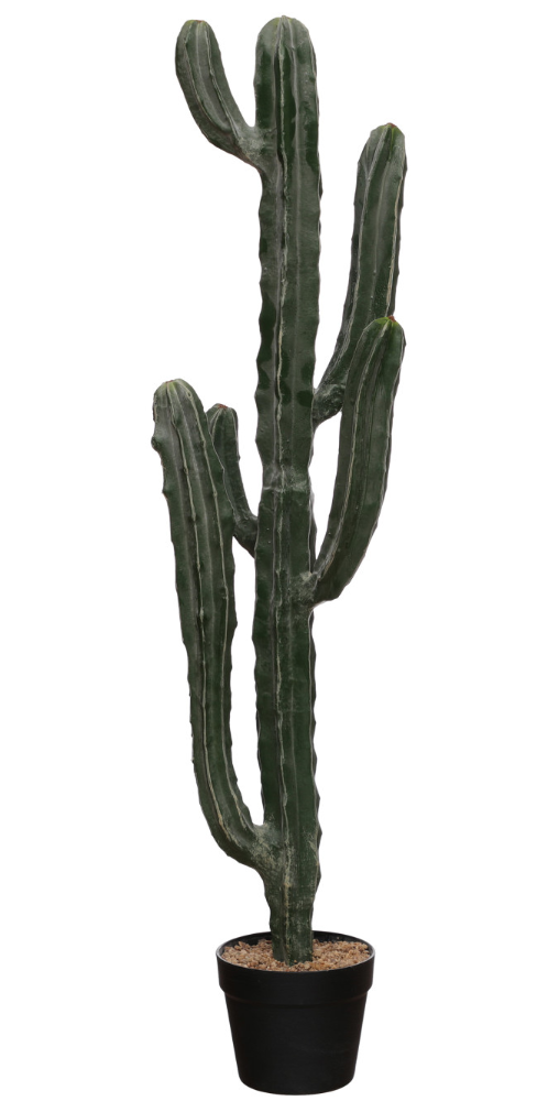 Faux Myrtle Cactus in Plastic Pot with Pebbles