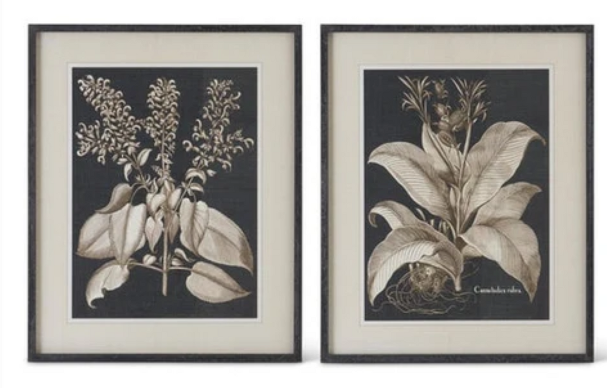 Assorted. 31.5 Inch Wood Framed Black & White Olive Prints