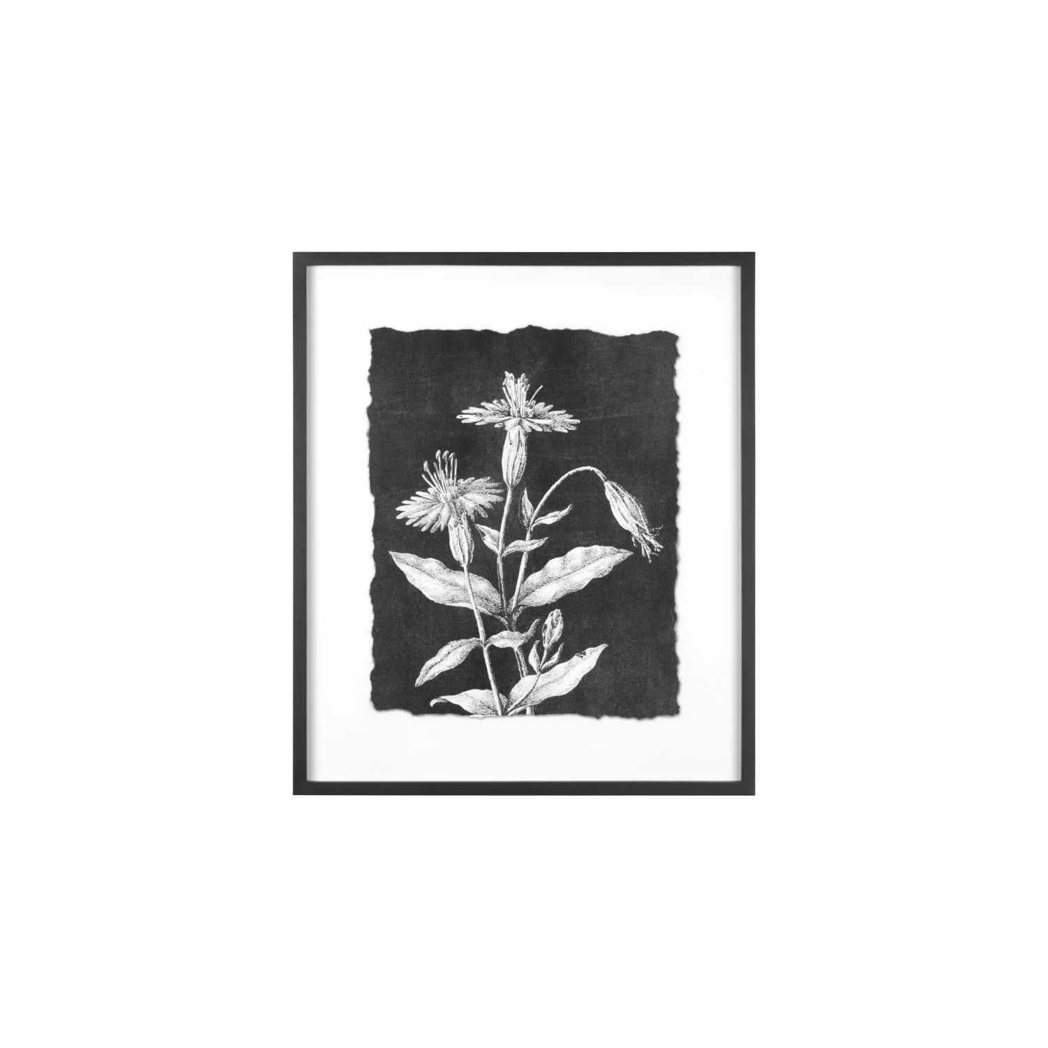 Botanical Print Wall Decor, 6 Styles