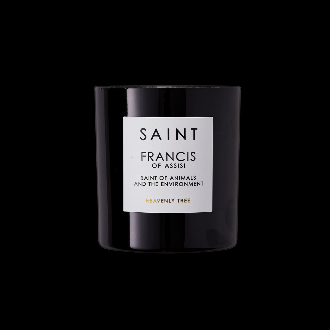 SAINT Francis