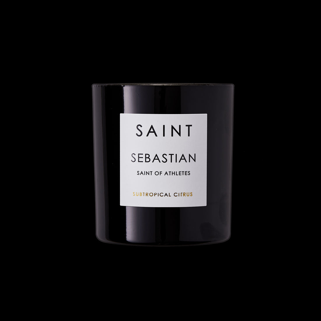 SAINT Sebastian