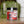 Load image into Gallery viewer, Fleur de Sel + Wild Chiltepin Peppers
