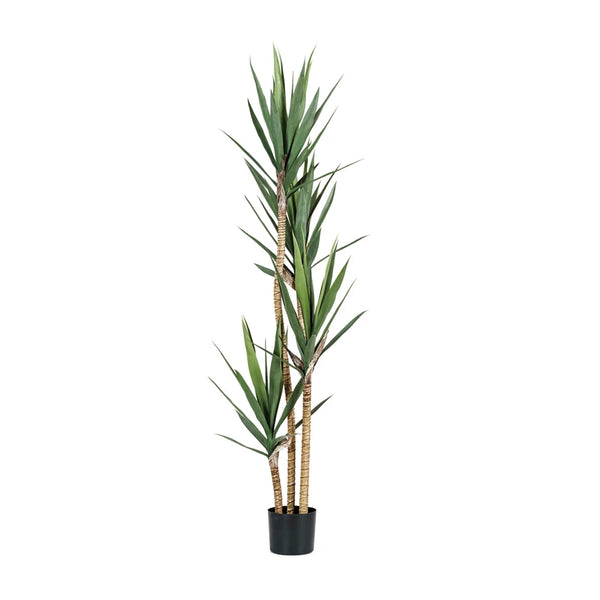 Faux Yucca Tree