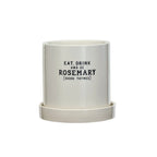 "Rosemary" Planter w/ Saucer, Set of 2