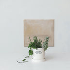 "Rosemary" Planter w/ Saucer, Set of 2