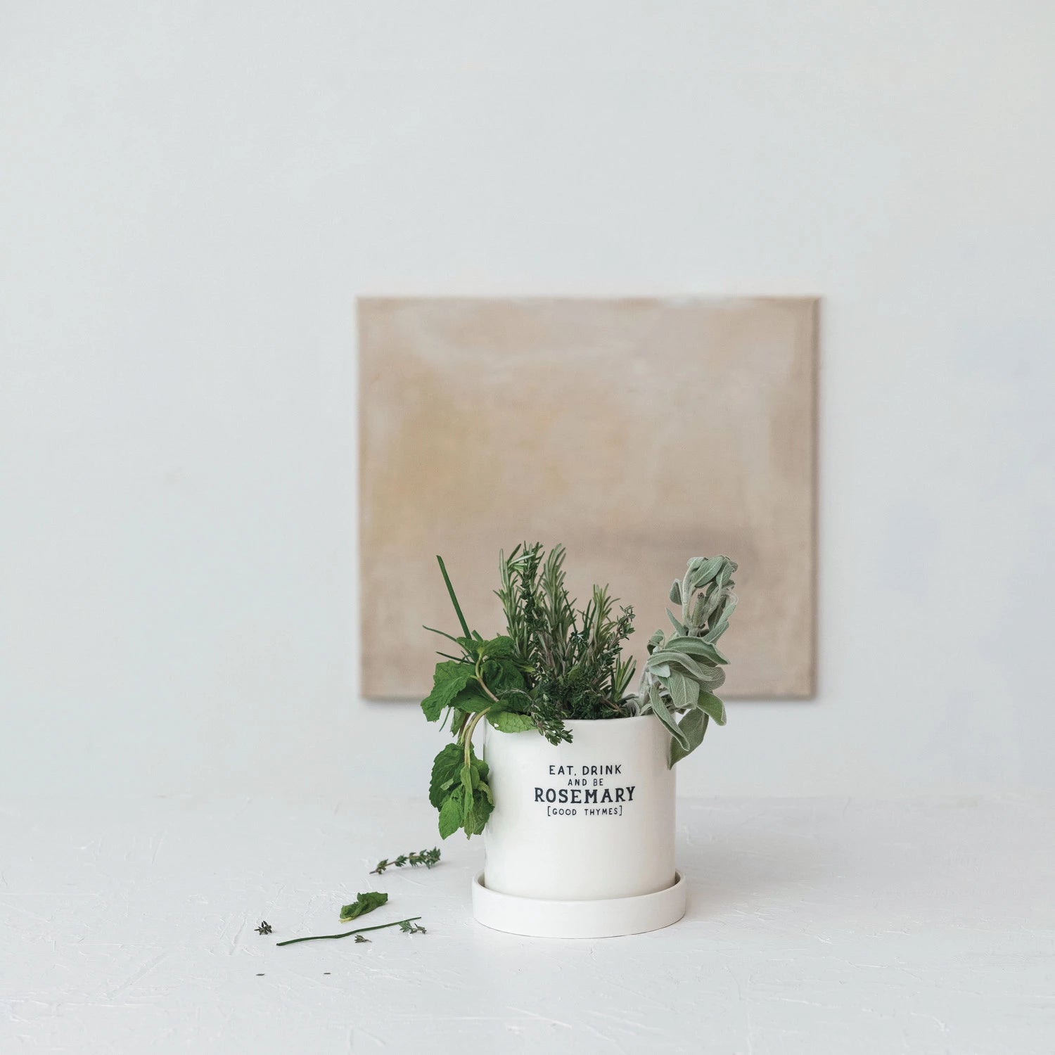"Rosemary" Planter w/ Saucer, Set of 2