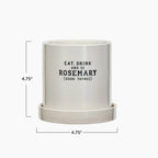 "Rosemary" Planter w/ Saucer, Set of 2