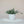 Load image into Gallery viewer, Hobnail Terra-cotta Planter, White
