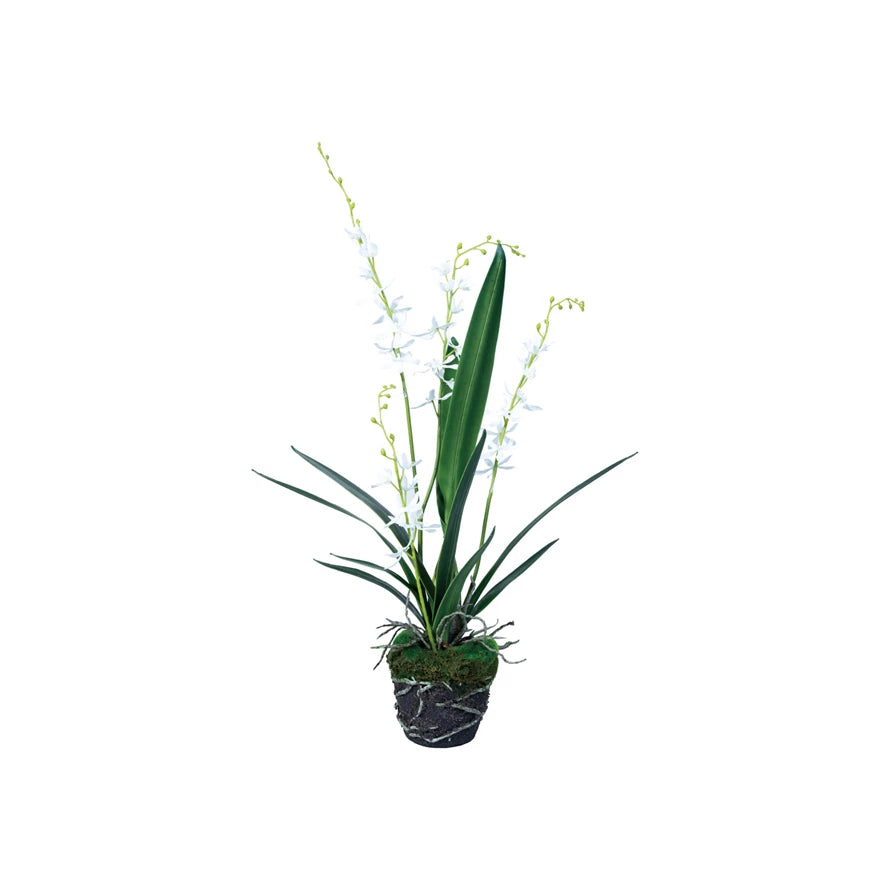 Faux Orchid w/ Faux Moss & Exposed Roots