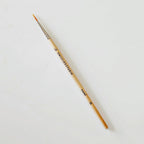 Watercolor Paintbrush Set of 5