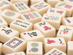 Mahjong - Beginner Lesson