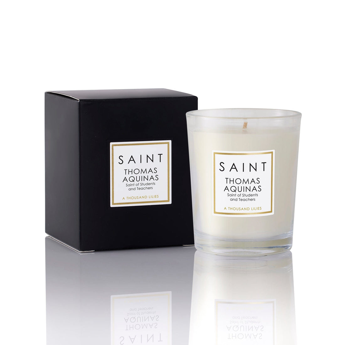 Saint Thomas Aquinas Saint of Students and Teachers Votive